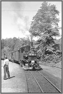 99 1561 mit P 14287 in Wolkenstein