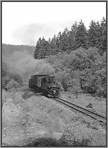 99 1606 mit Ng 69953 zwischen Schmalzgrube und Schl�ssel