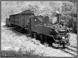99 1606 mit Ng 69953 zwischen Schmalzgrube und Schl�ssel