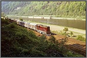 CSD-T458 1232 mit G�terzug vor Sch�na