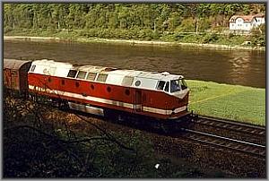 119 043 mit G�terzug vor Sch�na