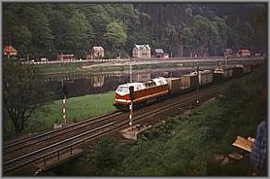 119 045 mit G�terzug bei Sch�na