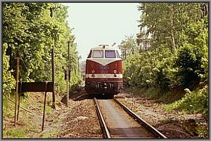 118 250 als Schlu�lok bei P 19011 vor Gehren