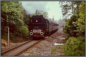 94 1292 verl��t mit dem Sonderzug den Bf Gehren