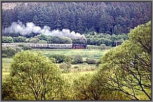 94 1292 mit dem Sonderzug hinter M�hrenbach