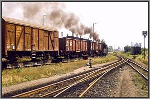99 1564 mit Ng 66980 nach Oschatz in M�geln