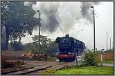 44 0225 in Niederr�blingen