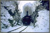 99 5906 vor Alexisbad