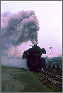 41 1137 rangiert in Haldensleben