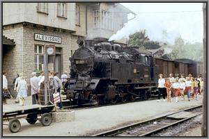 99 6001 mit P 14456 nach Stra�berg in Alexisbad
