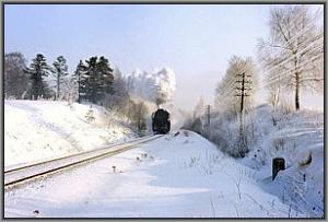 52 8143 mit TLg 49395 bei L�bau