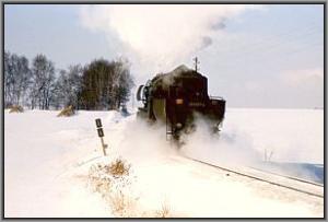 52 8107 als Lz-Fahrt bei L�bau