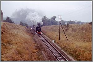 74 1230 vor Sagard