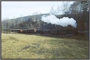 99 1561 bei Gro�r�ckerswalde