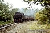 99 7234 bei Birkenmoor