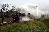 99 1608 vor M�geln