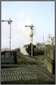 52 8053 in Angerm�nde