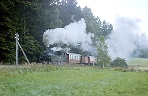 99 5904 in Sternhaus