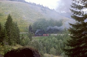 99 7244 vor Drei Annne Hohne