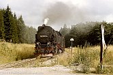99 7245 vor Drei Annen Hohne