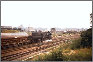 52 8141 in Angerm�nde