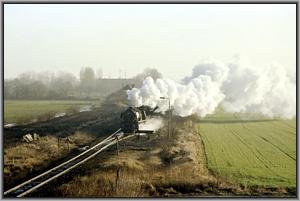 50 3606 in Langenweddingen
