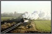 50 3556 in Langenweddingen
