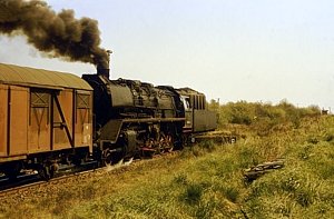 50 3606 in Blumenberg