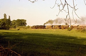 50 3662 in Hadmersleben