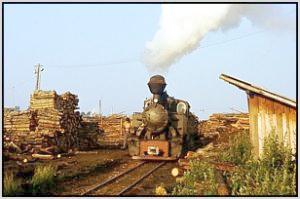 764 001 beim Holzladen in Covasna