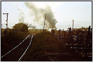764 001 rangiert in Covasna