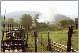 Waldbahnzug bei Covasna