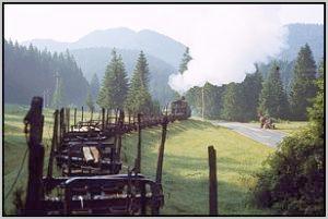 Waldbahnzug im Feental