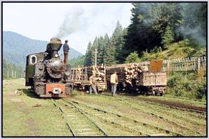 764 001 in Siclau