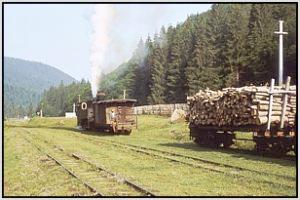 764 001 rangiert in Siclau