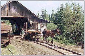 Pferdeverschub in Siclau