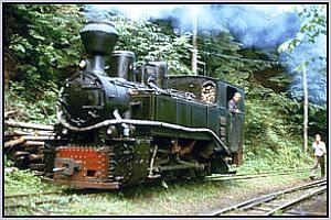764 379 in Siclau