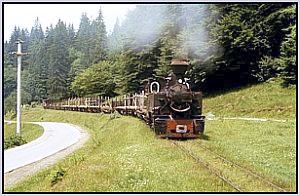 764 001 vor Siclau