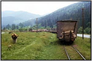 Leerwagenzug vor Siclau