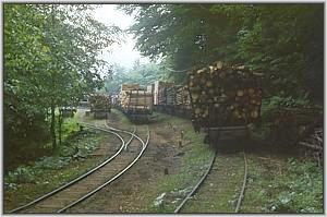 Oberer Bahnhof von Siclau