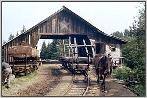Pferd und leerer Truck in Siclau