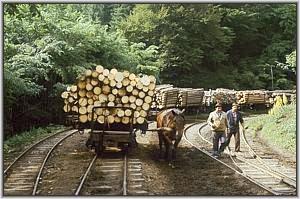 Pferd und beladener Truck in Siclau