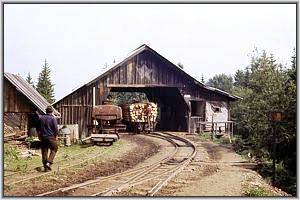 beladener Truck in Siclau