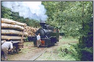764 379 in Siclau