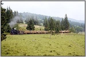 764 379 im Tal der Gro�en Bosca