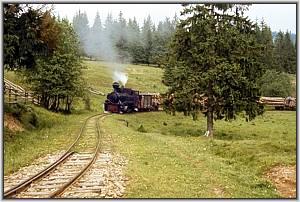 764 379 im Tal der Gro�en Bosca