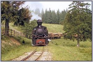764 379 im Tal der Gro�en Bosca