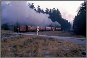 99 7244 in Drei Annen Hohne