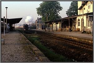 41 1231 mit D 700 in Krossen (Elster)