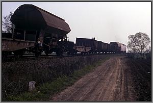 219 029 mit Ng 66420 hinter Neustadt (Orla)